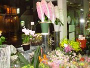「フラワード松浦」　（滋賀県草津市）の花屋店舗写真1